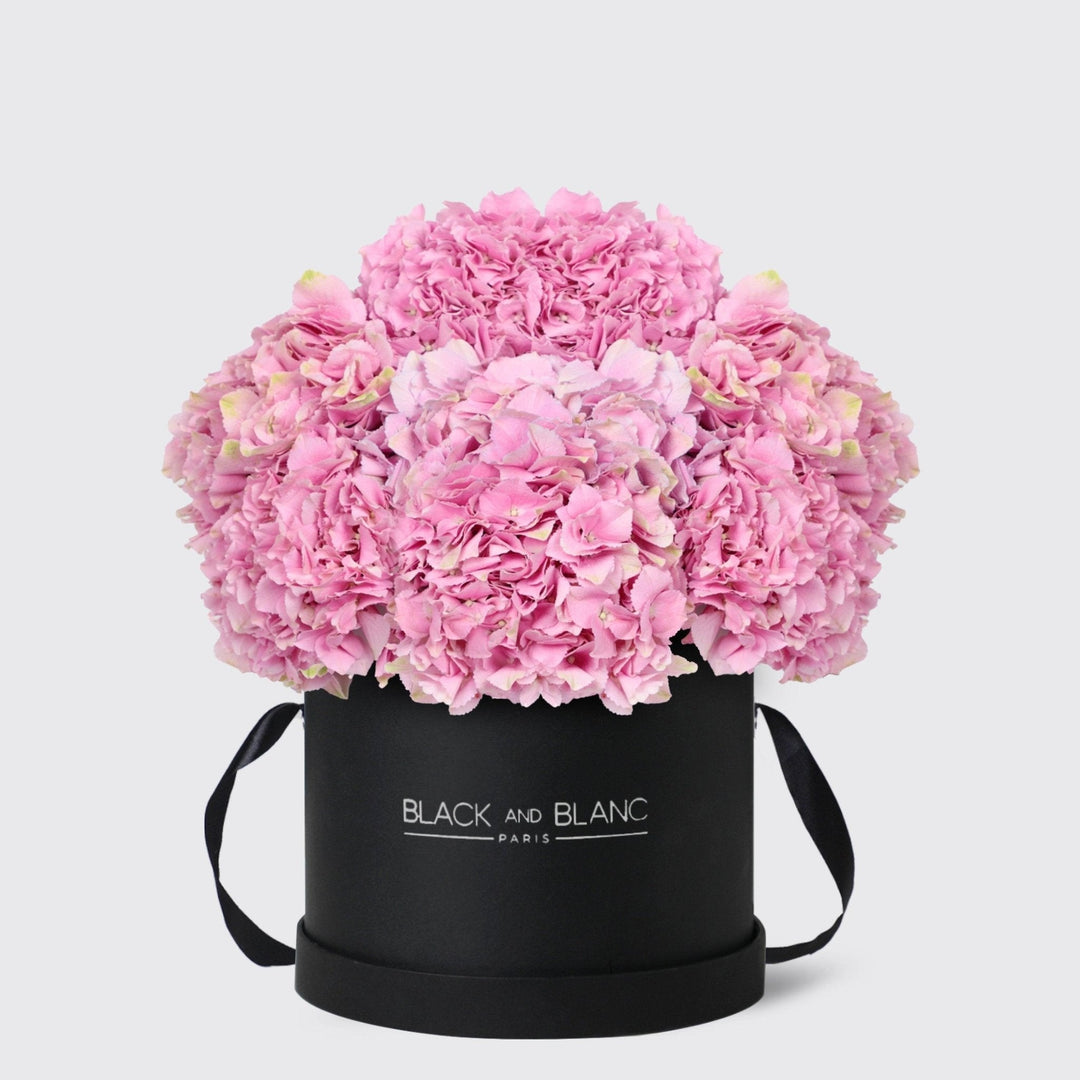 Pink Hydrangea in Box - BLACK AND BLANC