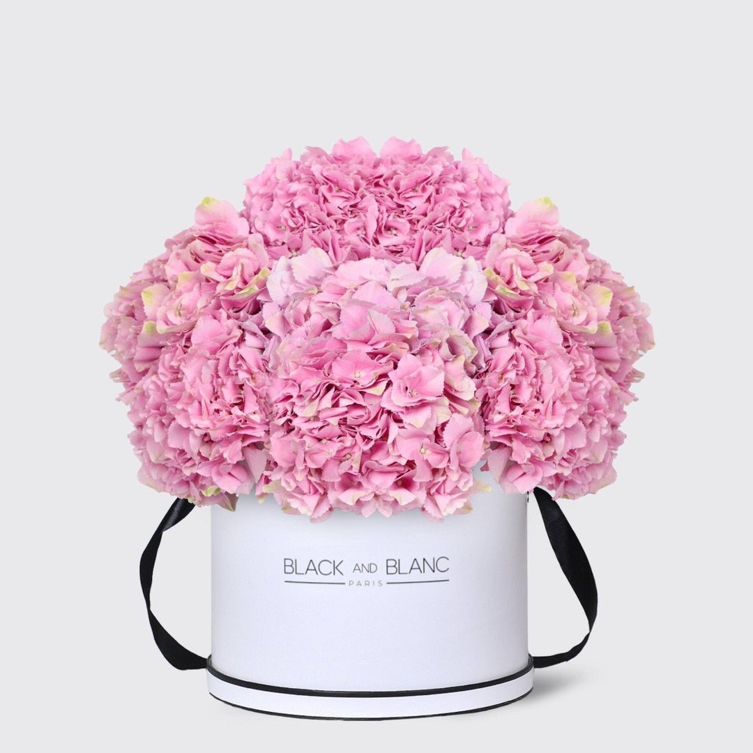 Pink Hydrangea in Box - BLACK AND BLANC