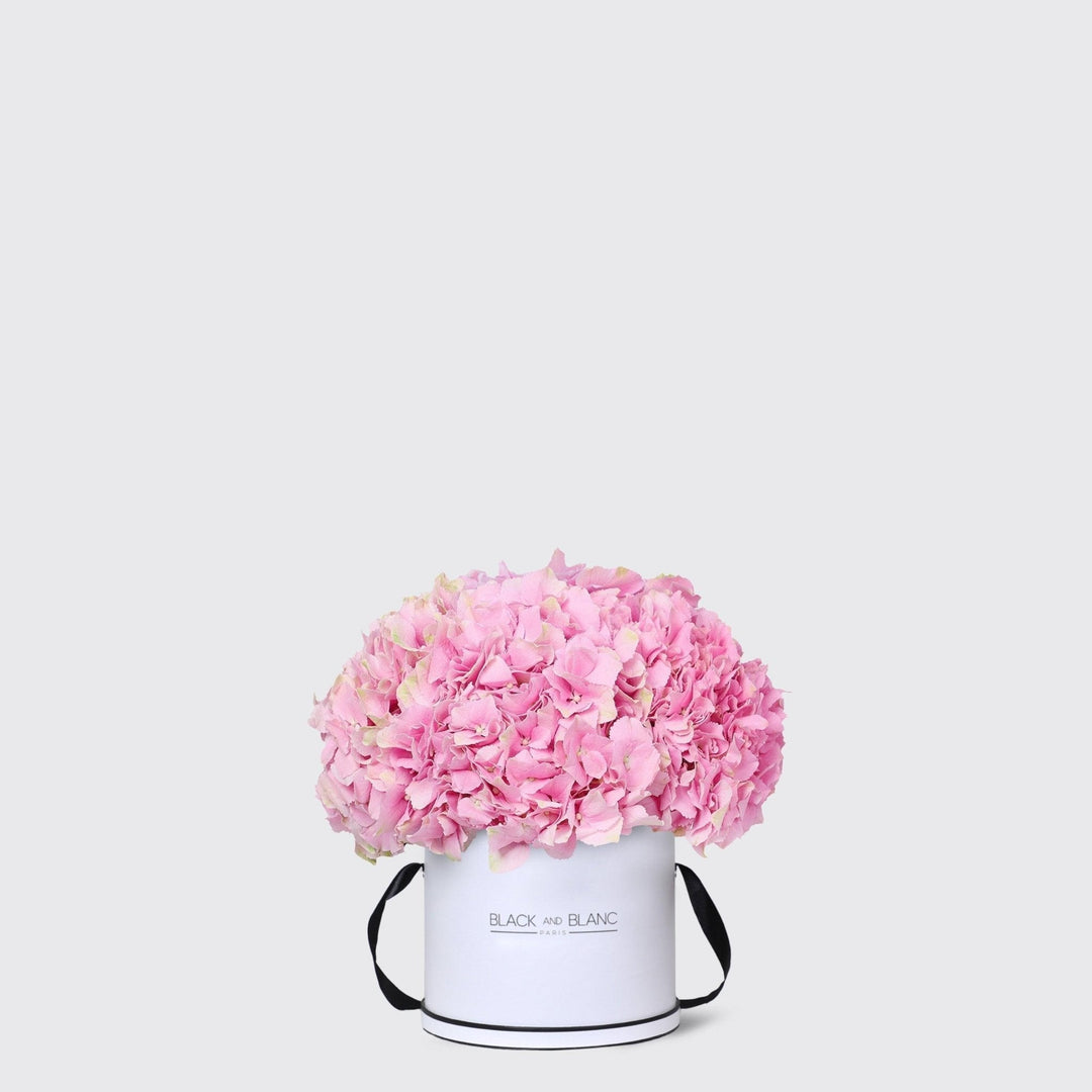 Pink Hydrangea in Box - BLACK AND BLANC