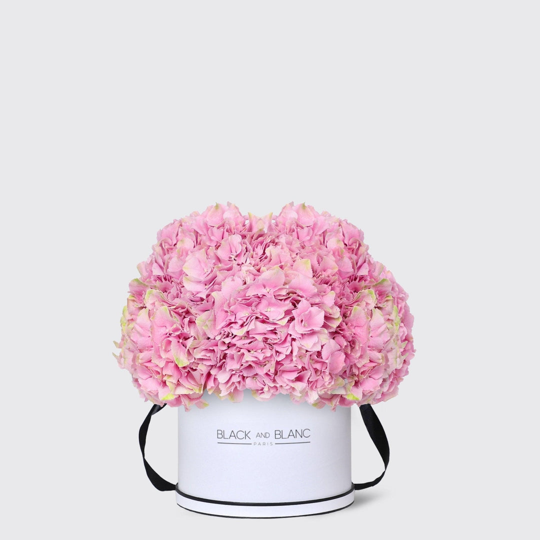 Pink Hydrangea in Box - BLACK AND BLANC