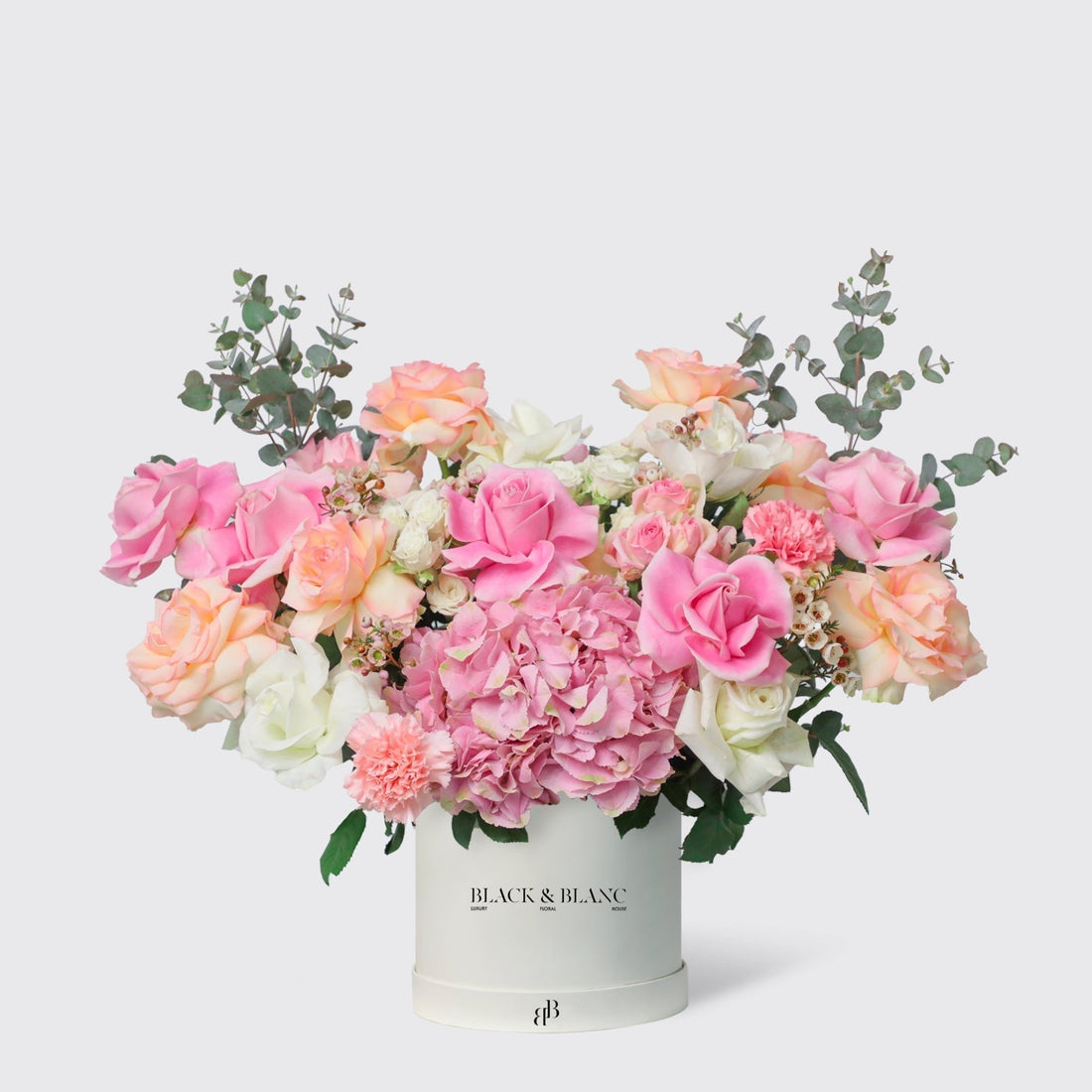 Pink Paradise in Box - BLACK AND BLANC