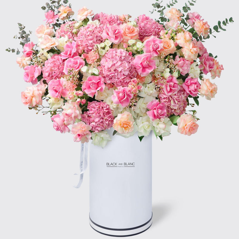 Pink Paradise in Pinnacle Box - BLACK AND BLANC