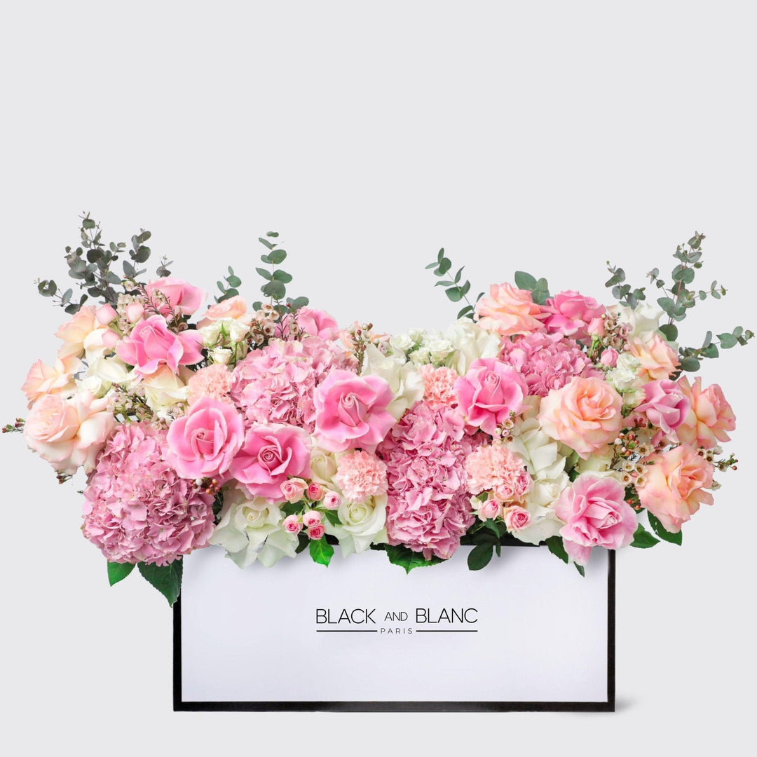 Pink Paradise in Zenith Box - BLACK AND BLANC