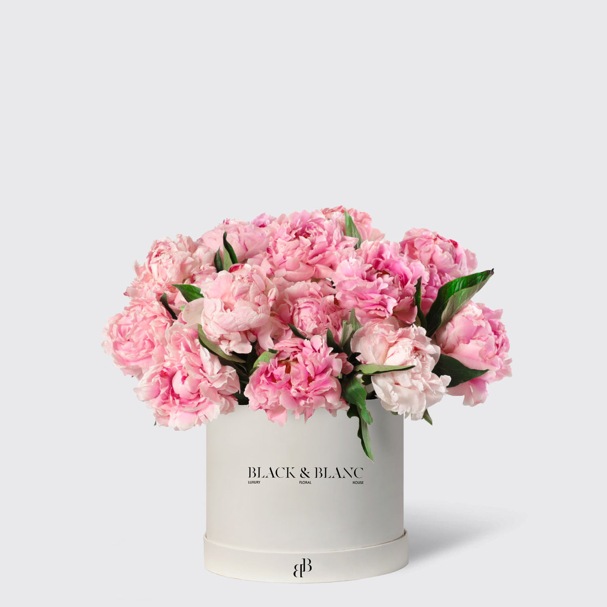 Pink Peony in Box - BLACK AND BLANC