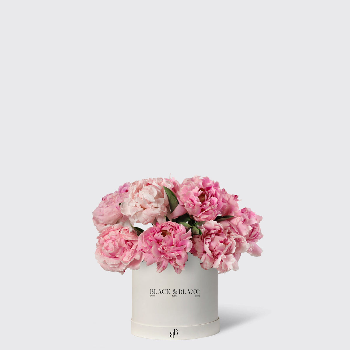 Pink Peony in Box - BLACK AND BLANC