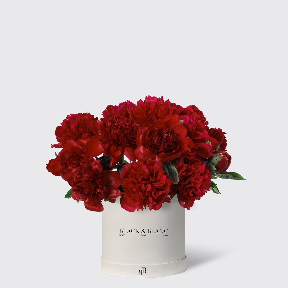 Pink Peony in Box - BLACK AND BLANC