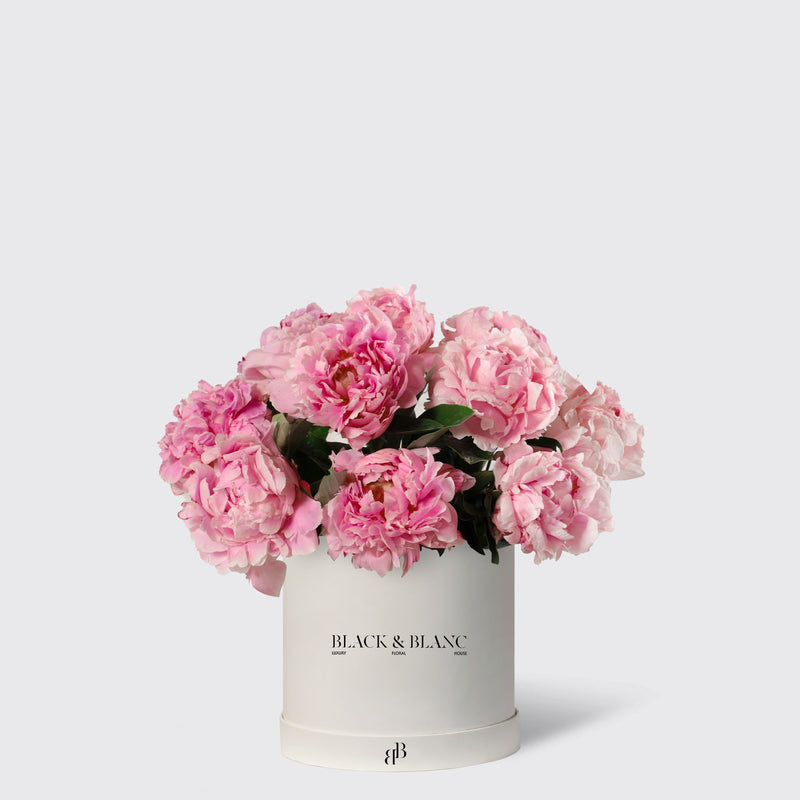 Pink Peony in Box - BLACK AND BLANC