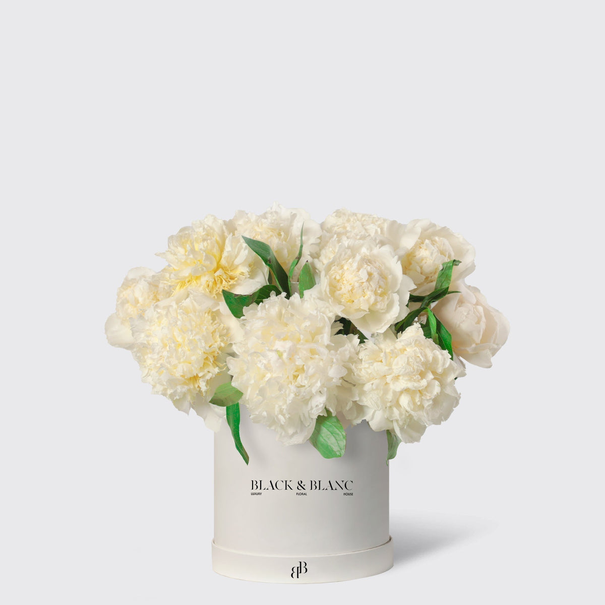 Pink Peony in Box - BLACK AND BLANC