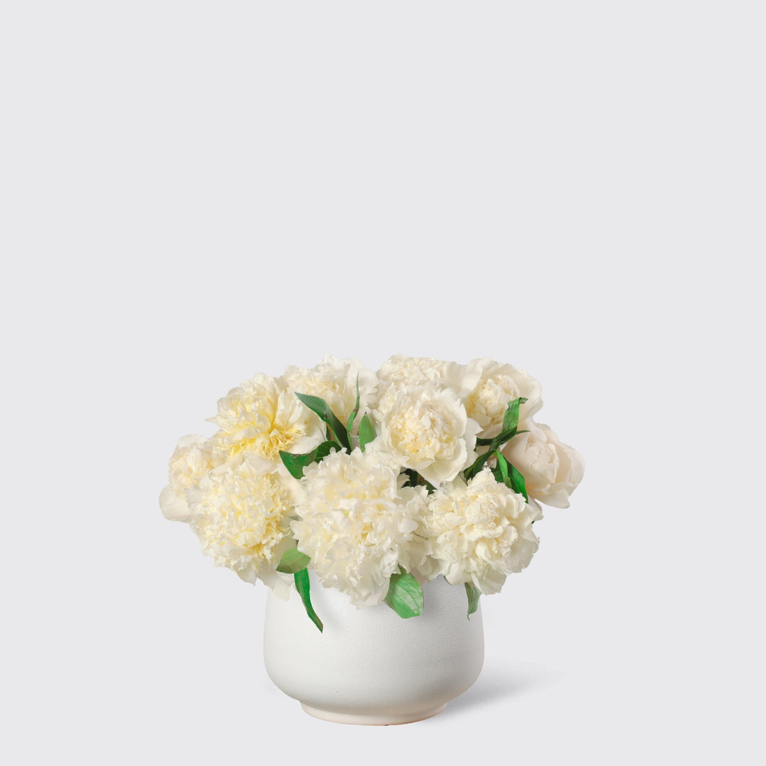 Pink Peony in Vase - BLACK AND BLANC