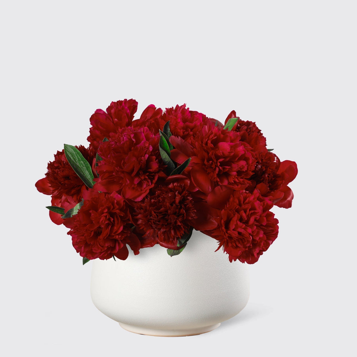 Pink Peony in Vase - BLACK AND BLANC