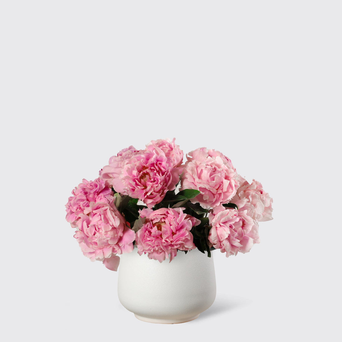 Pink Peony in Vase - BLACK AND BLANC