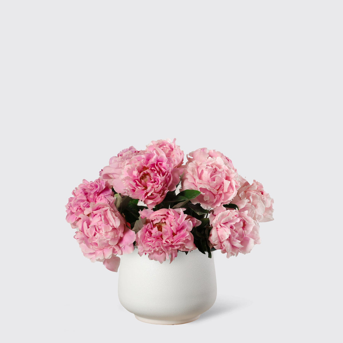 Pink Peony in Vase - BLACK AND BLANC