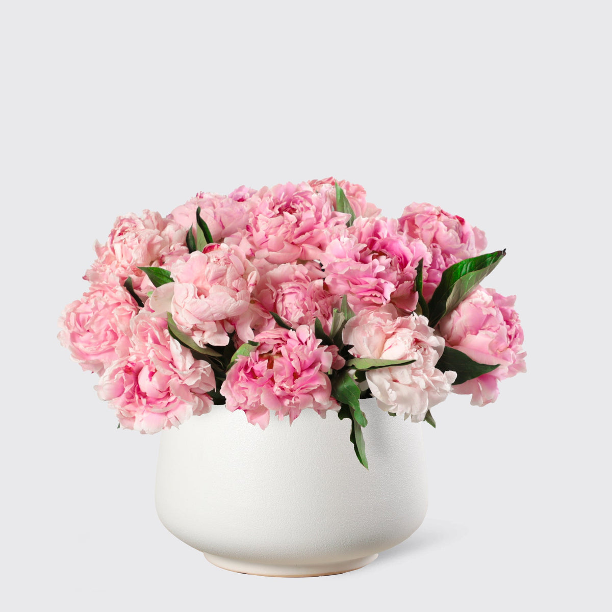 Pink Peony in Vase - BLACK AND BLANC