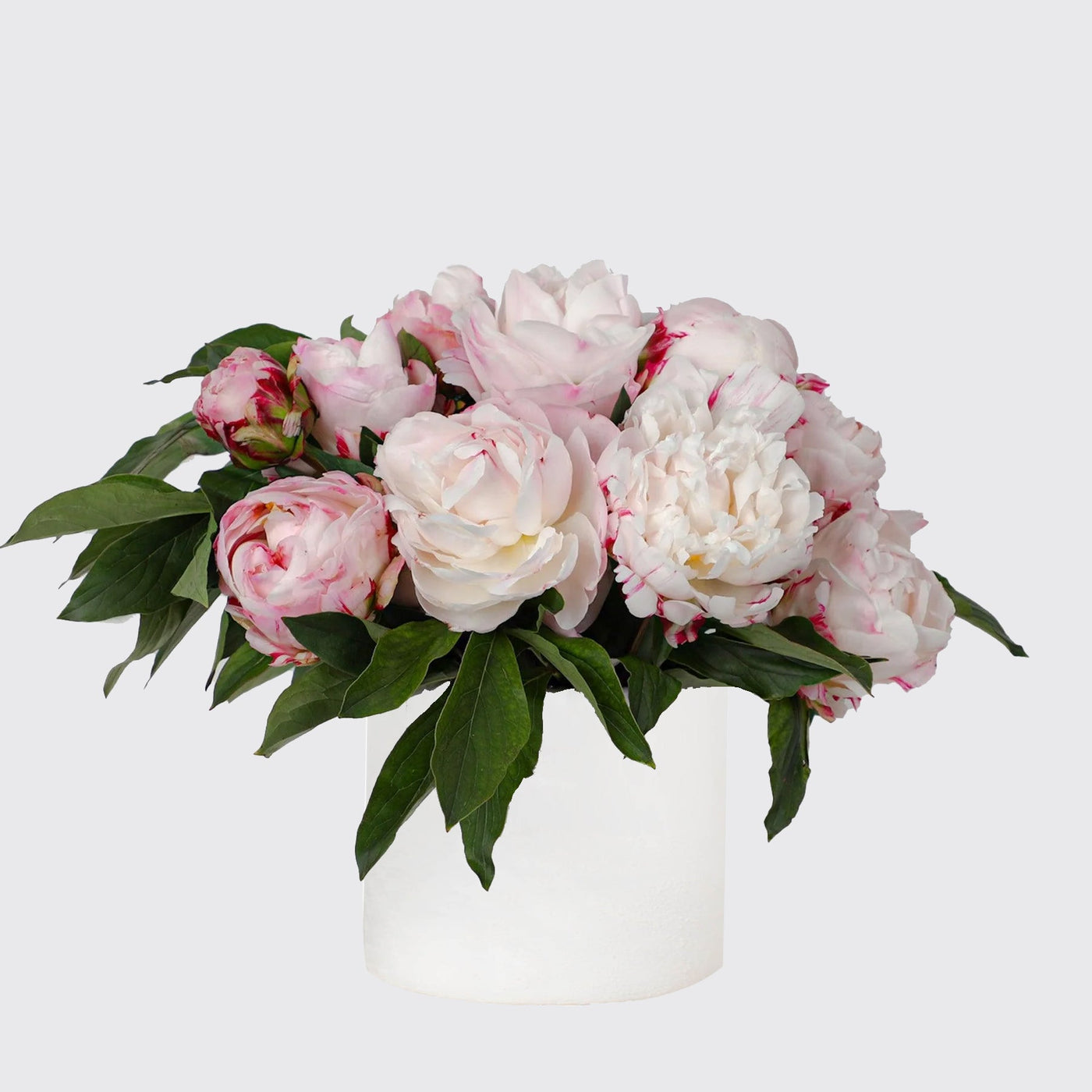 Pink Peony in Vase - Fresh Flowers - Vase