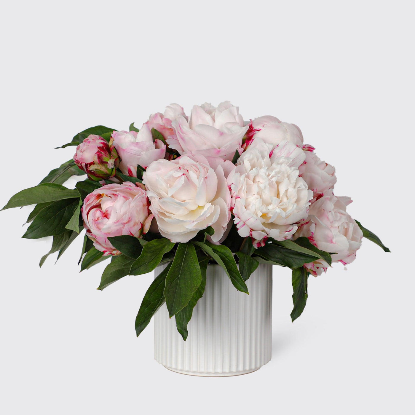 Pink Peony in Vase - Fresh Flowers - BLACK AND BLANC