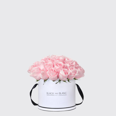 Pink Perfection Set - BLACK AND BLANC