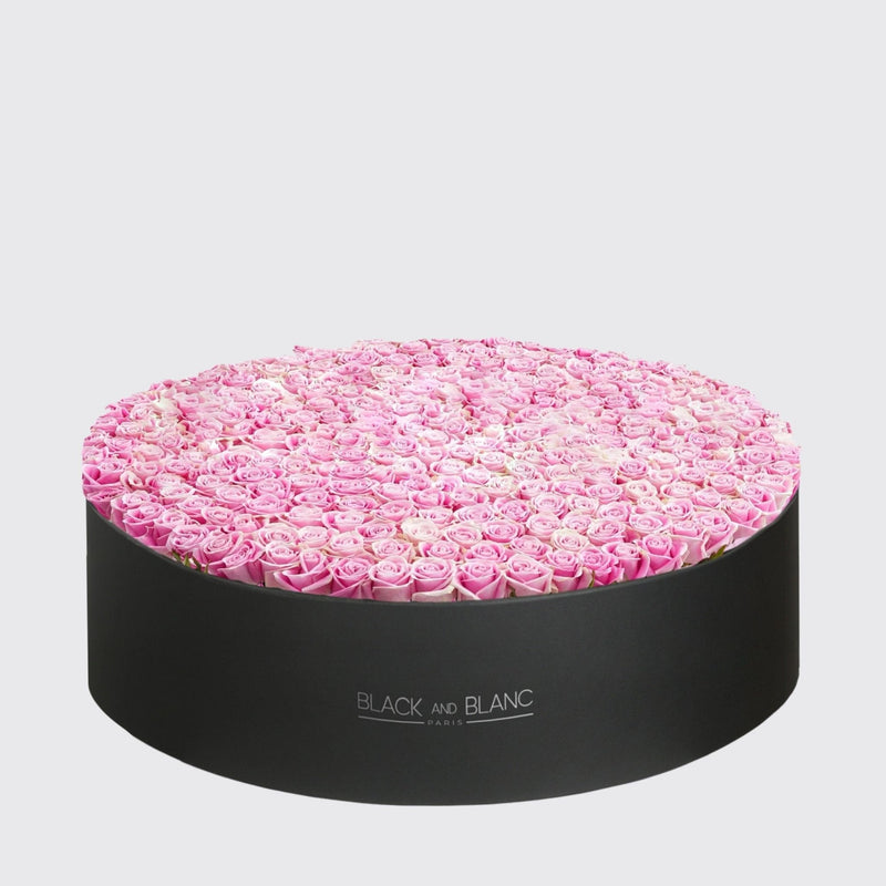 Pink Roses Extravaganza in Box - BLACK AND BLANC