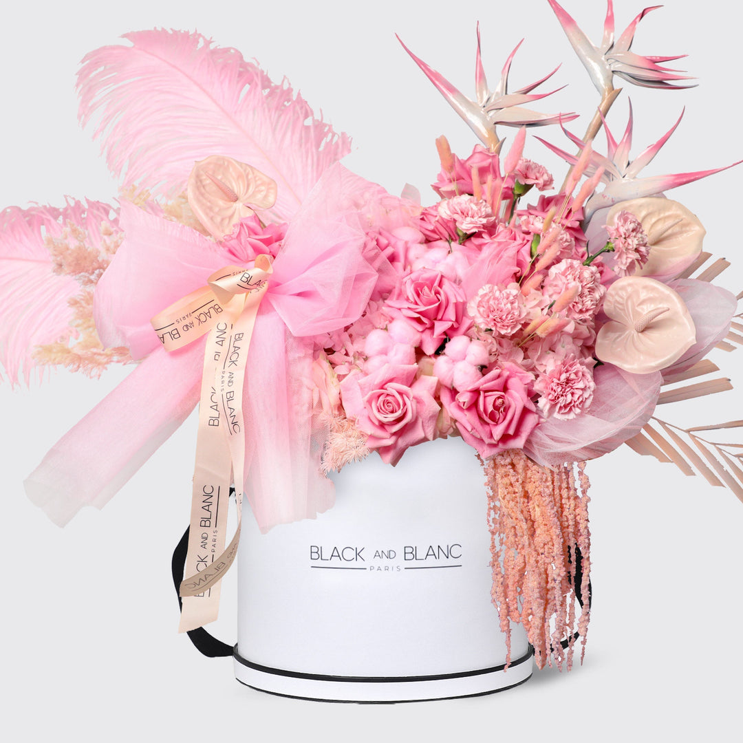 Pink Serenade Le Luxi / White