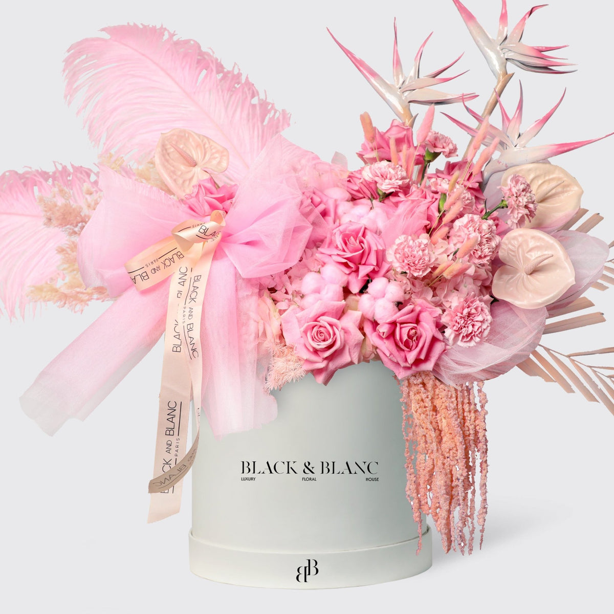 Pink Serenade in Box - BLACK AND BLANC
