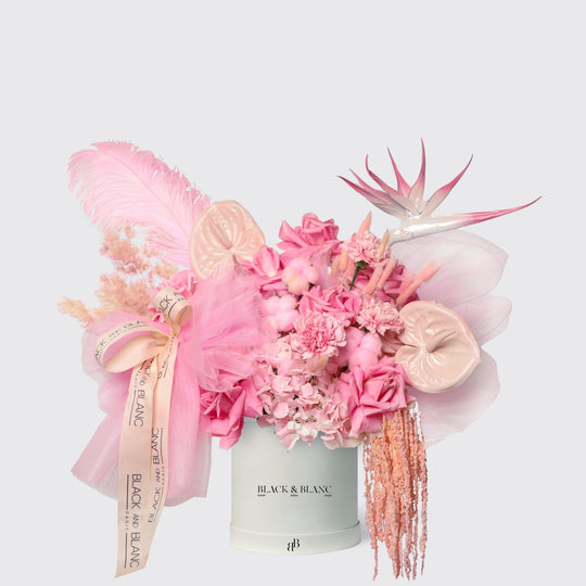 Pink Serenade in Box - BLACK AND BLANC