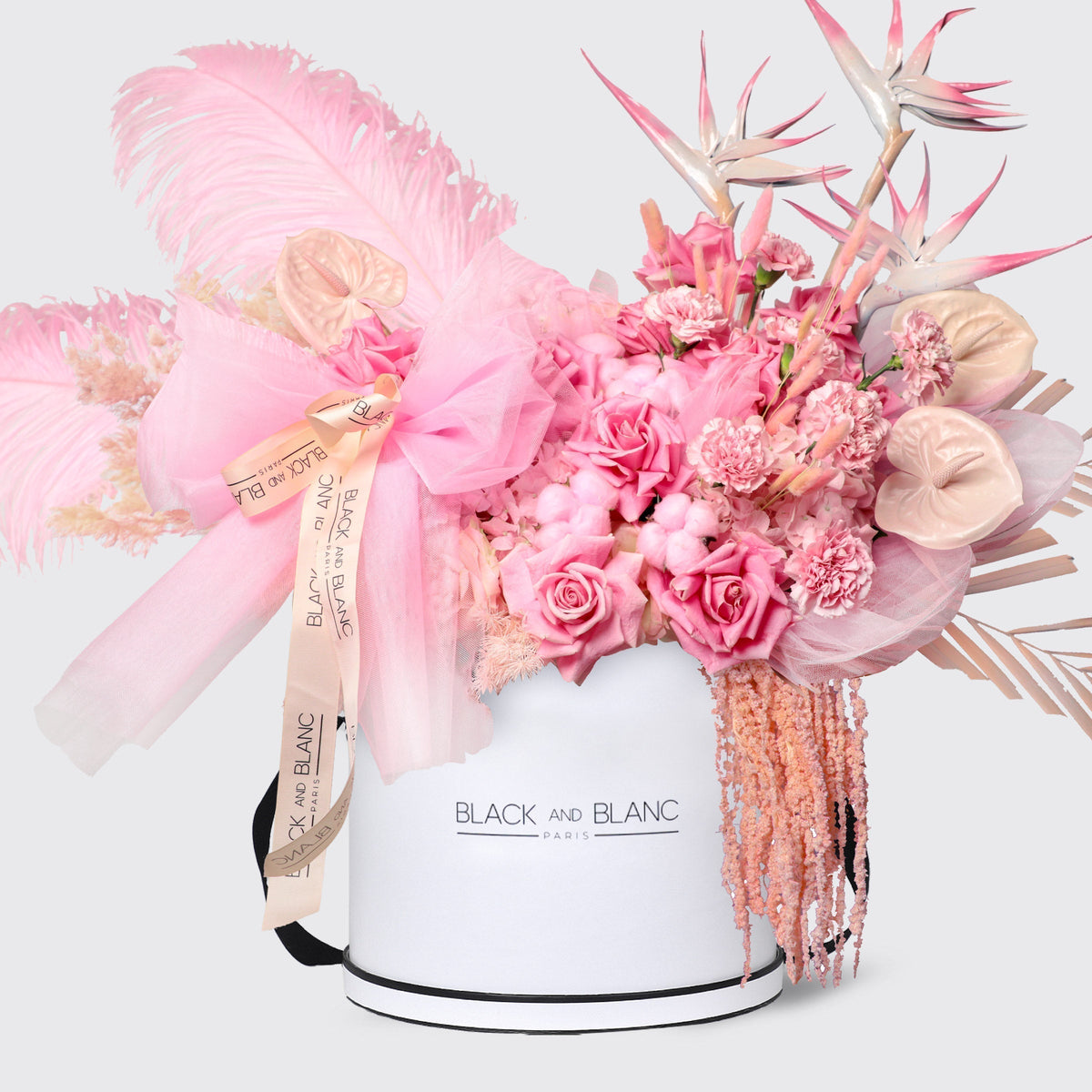 Pink Serenade Le Luxi / White