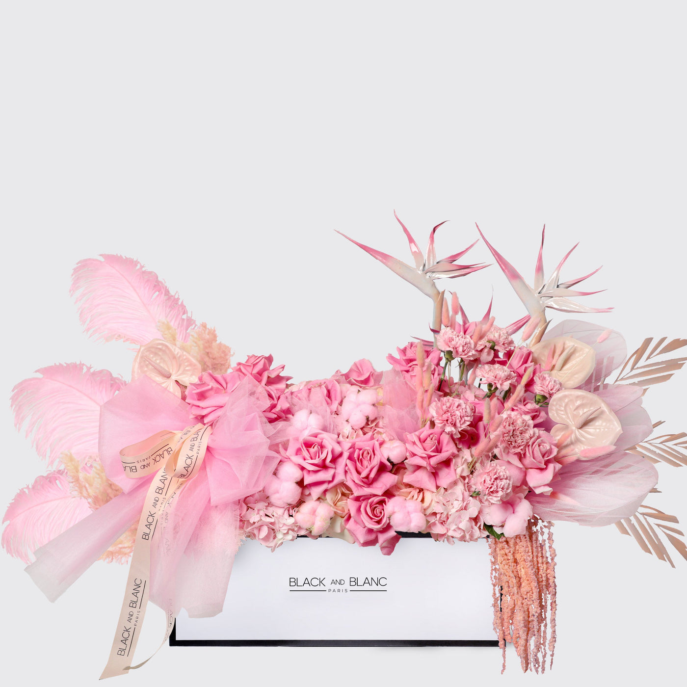 Pink Serenade in Half Meter Box wd