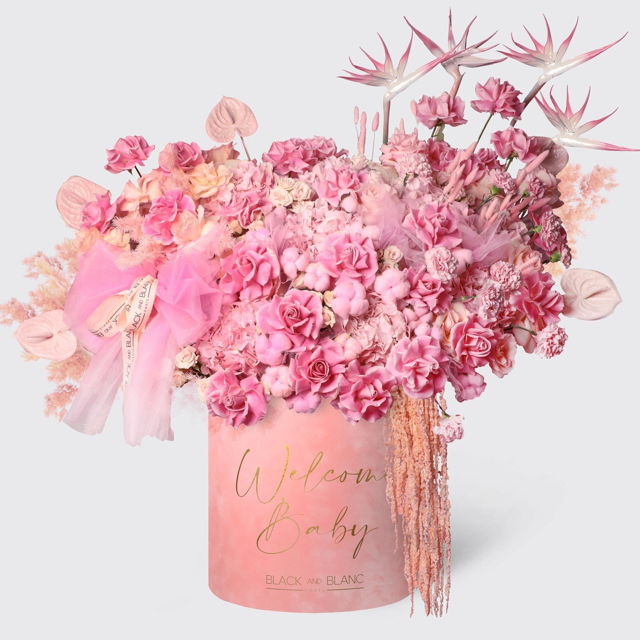 Pink Serenade in Opus Box