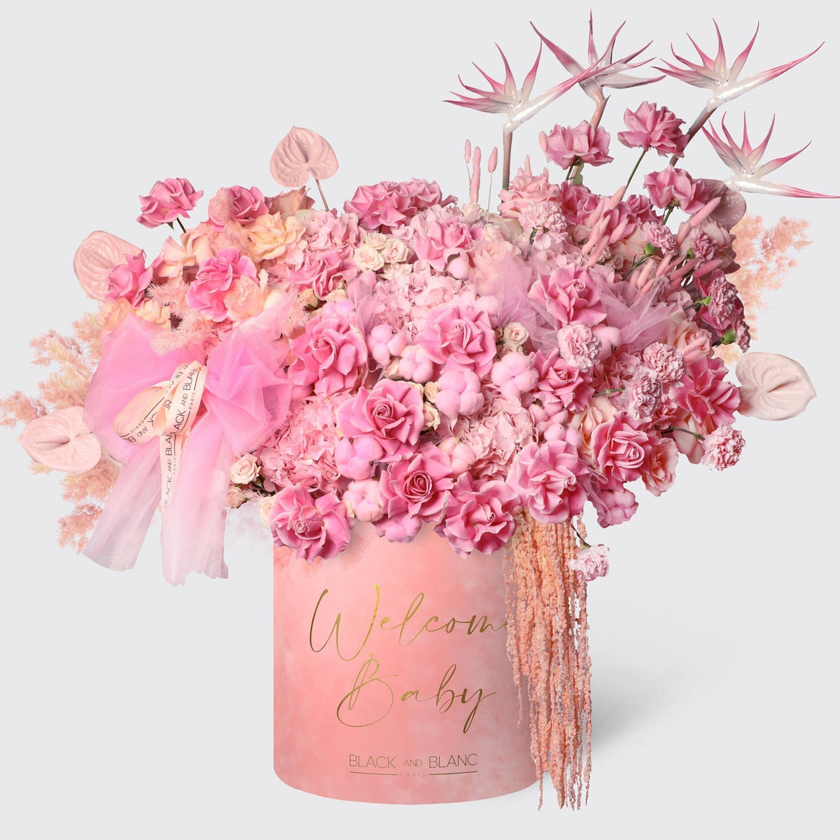 Pink Serenade in Opus Box - BLACK AND BLANC