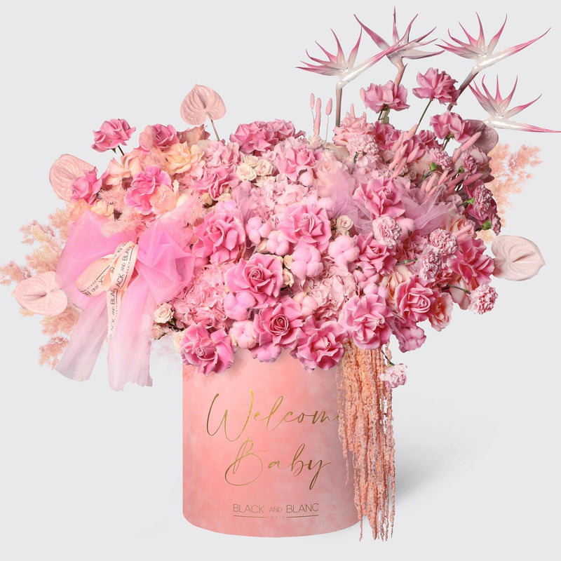 Pink Serenade in Opus Box - BLACK AND BLANC