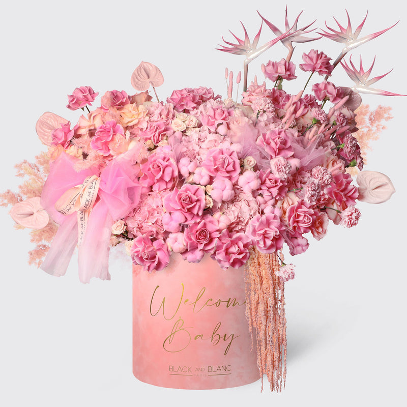 Pink Serenade in Opus Box