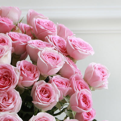 A bunch of Spray Roses Pink