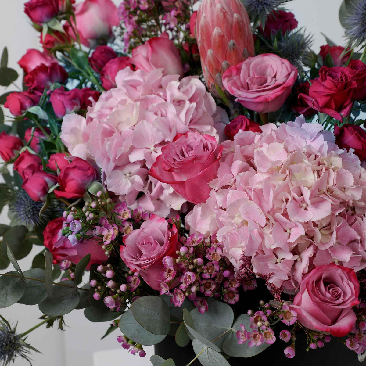 Pretty in Pink in Box - BLACK AND BLANC