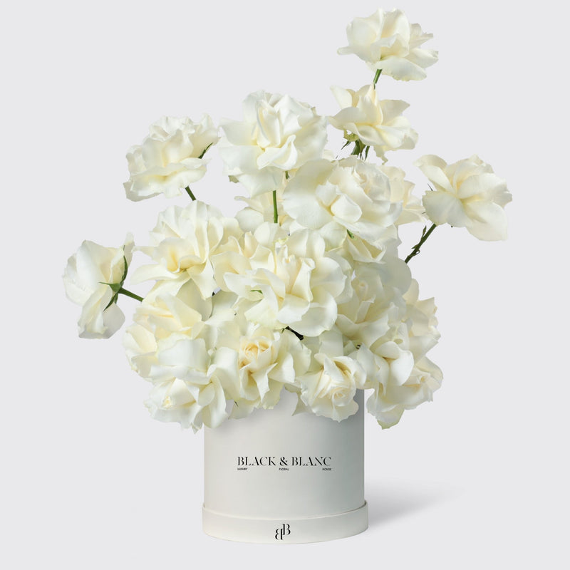 Pure Blossom in Box - BLACK AND BLANC