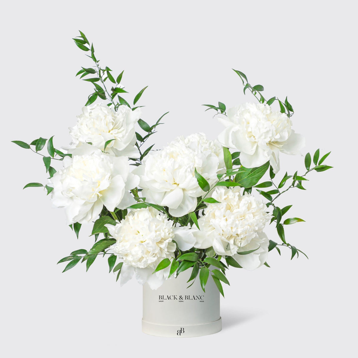 Pure White Peonies in Box - BLACK AND BLANC
