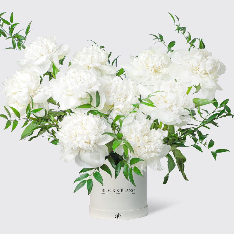 Pure White Peonies in Box - BLACK AND BLANC