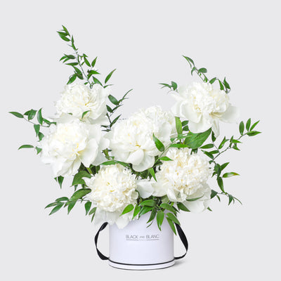 Pure White Peonies in Box - Le Medium / White