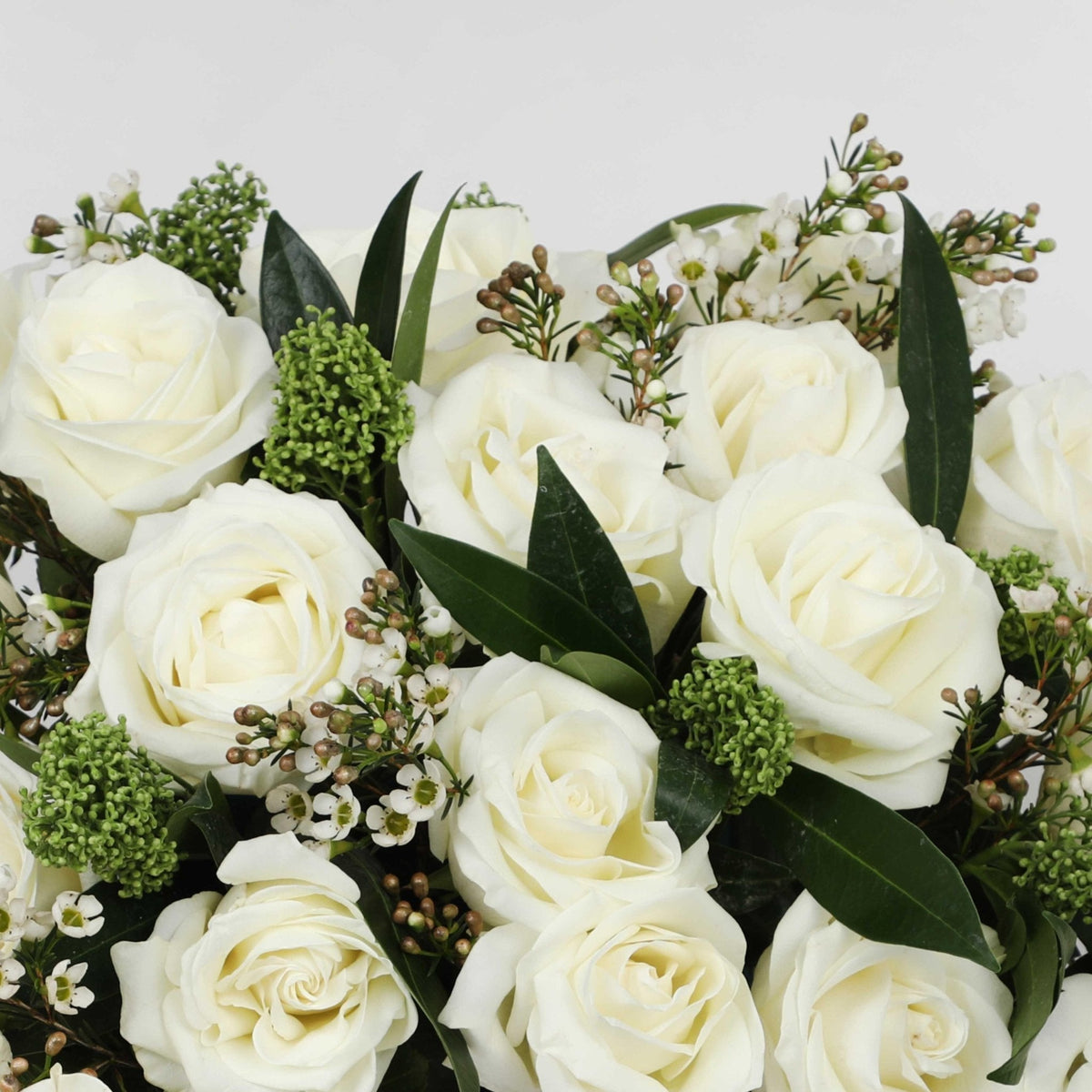 Purity Pegasus in Vase - BLACK AND BLANC