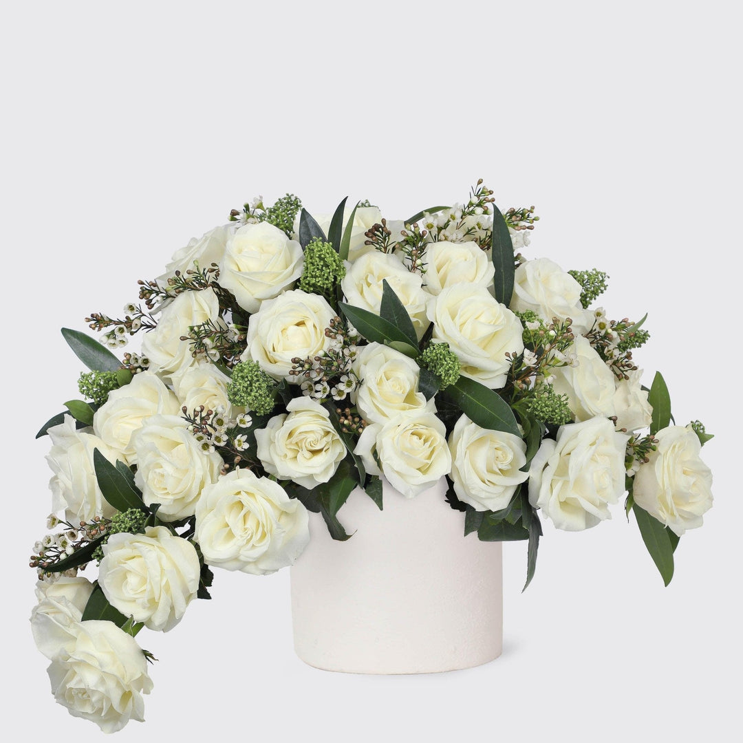 Purity Pegasus in Vase - BLACK AND BLANC