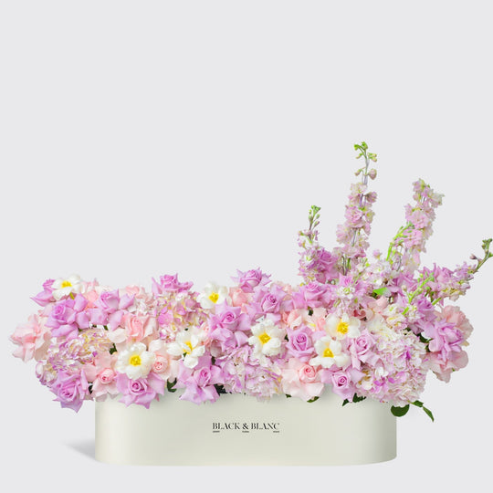 Purple Paradise 1 Meter Box - BLACK AND BLANC