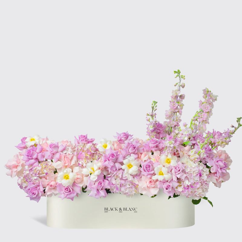 Purple Paradise 1 Meter Box - BLACK AND BLANC