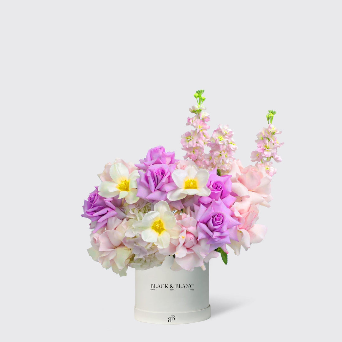 Purple Paradise in Box - BLACK AND BLANC