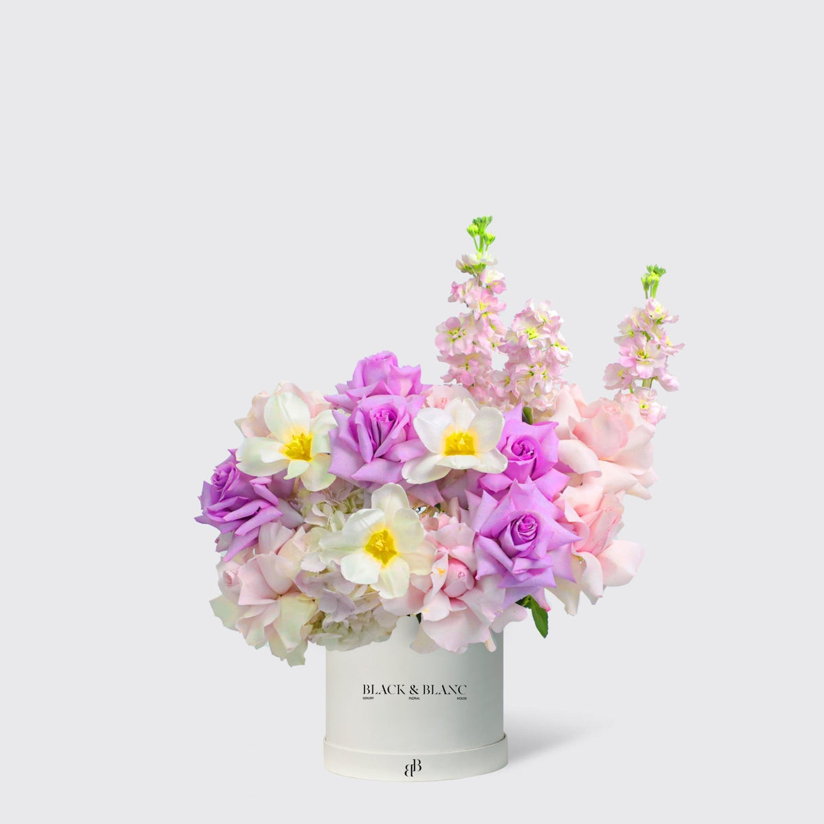 Purple Paradise in Box - BLACK AND BLANC