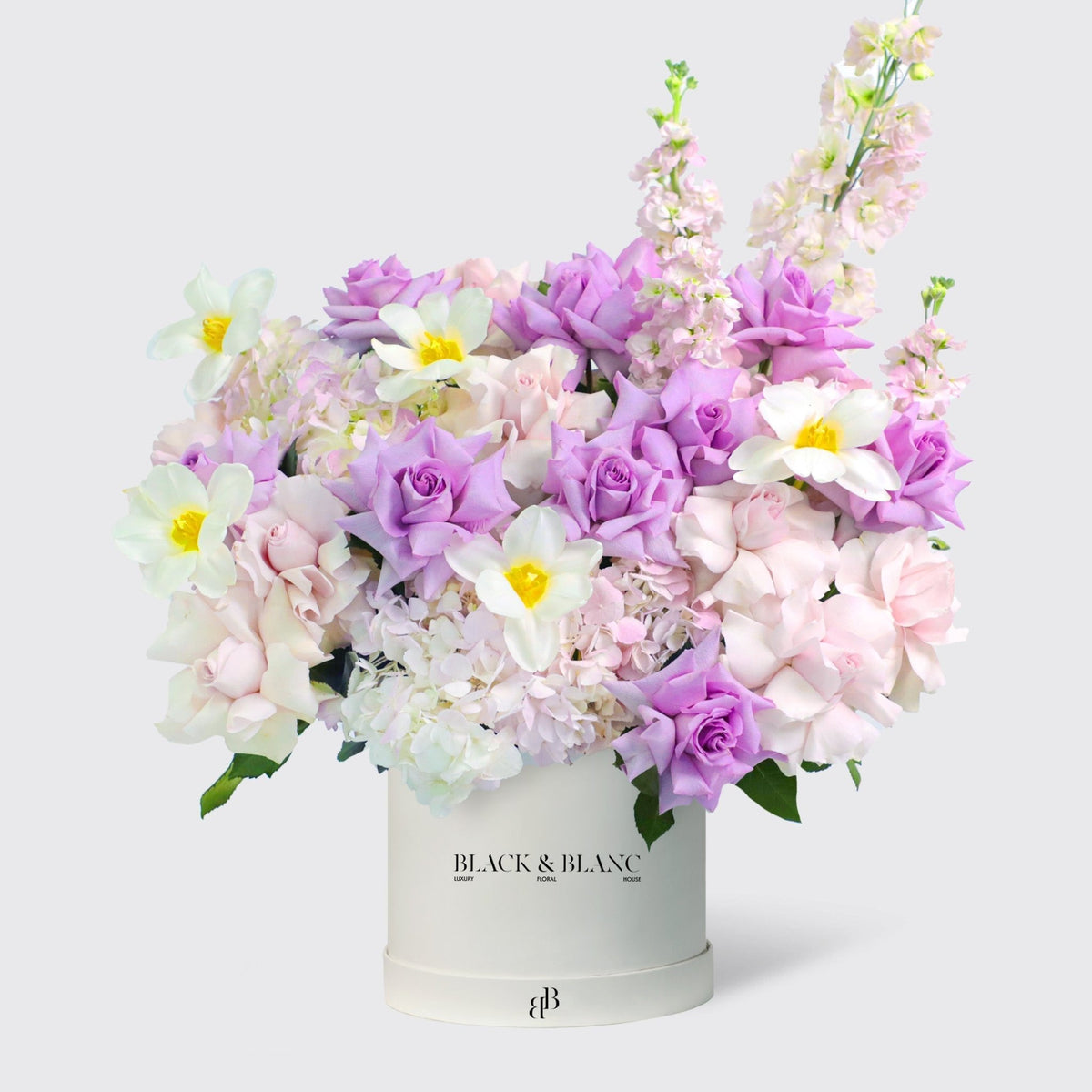 Purple Paradise in Box - BLACK AND BLANC