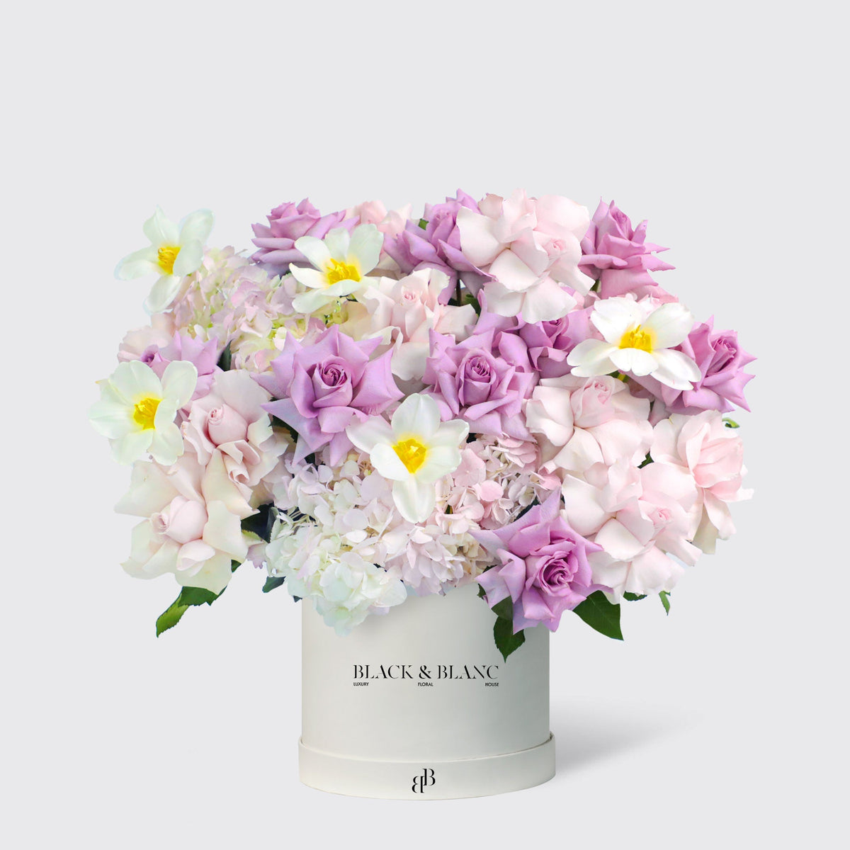 Purple Paradise in Box