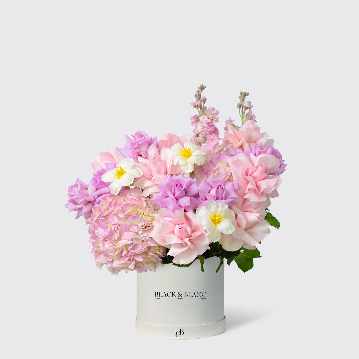 Фиолетовый рай в коробке