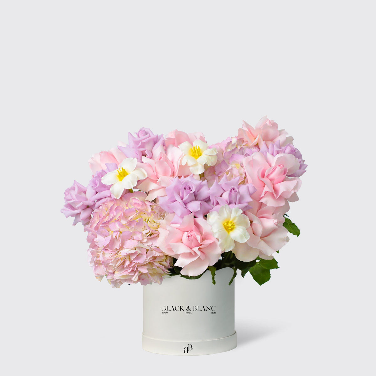 Purple Paradise in Box