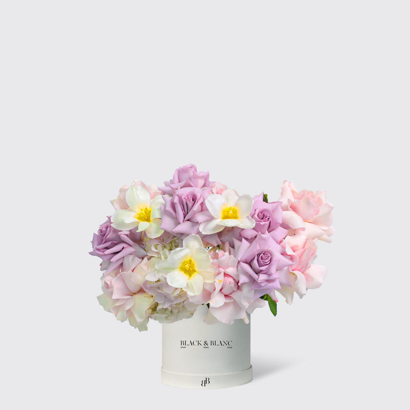 Purple Paradise in Box