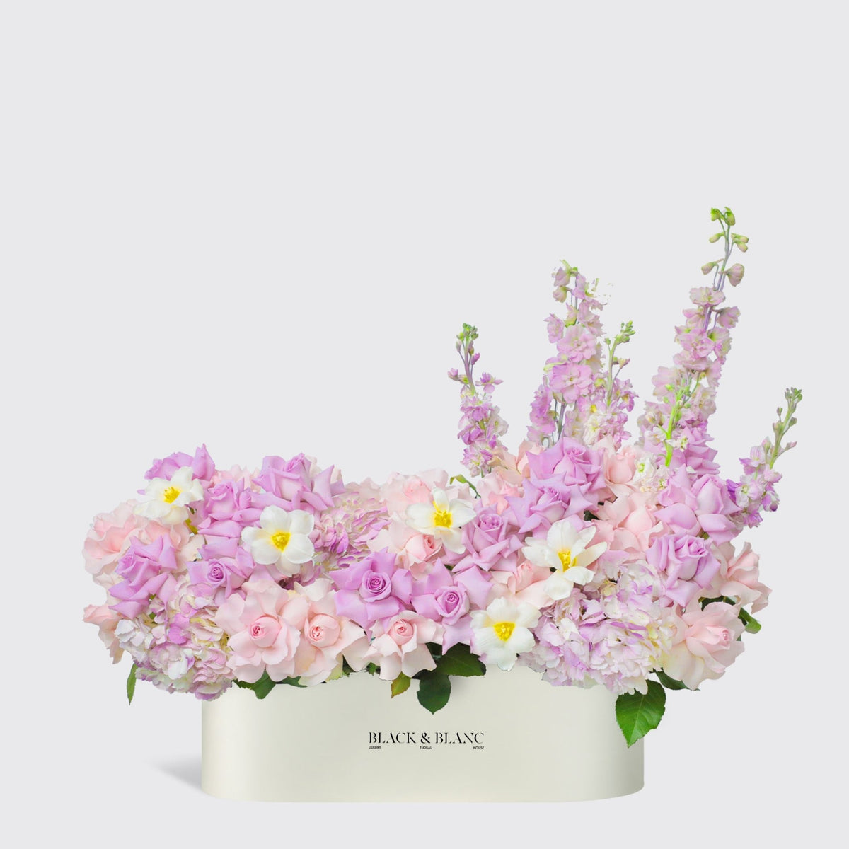 Purple Paradise in Half Meter Box - BLACK AND BLANC