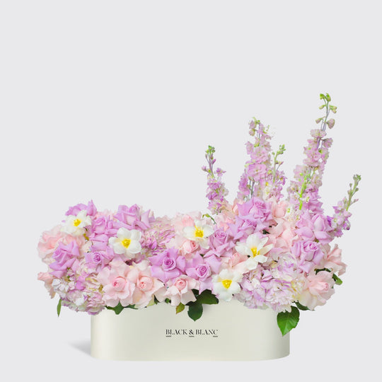 Purple Paradise in Half Meter Box - BLACK AND BLANC