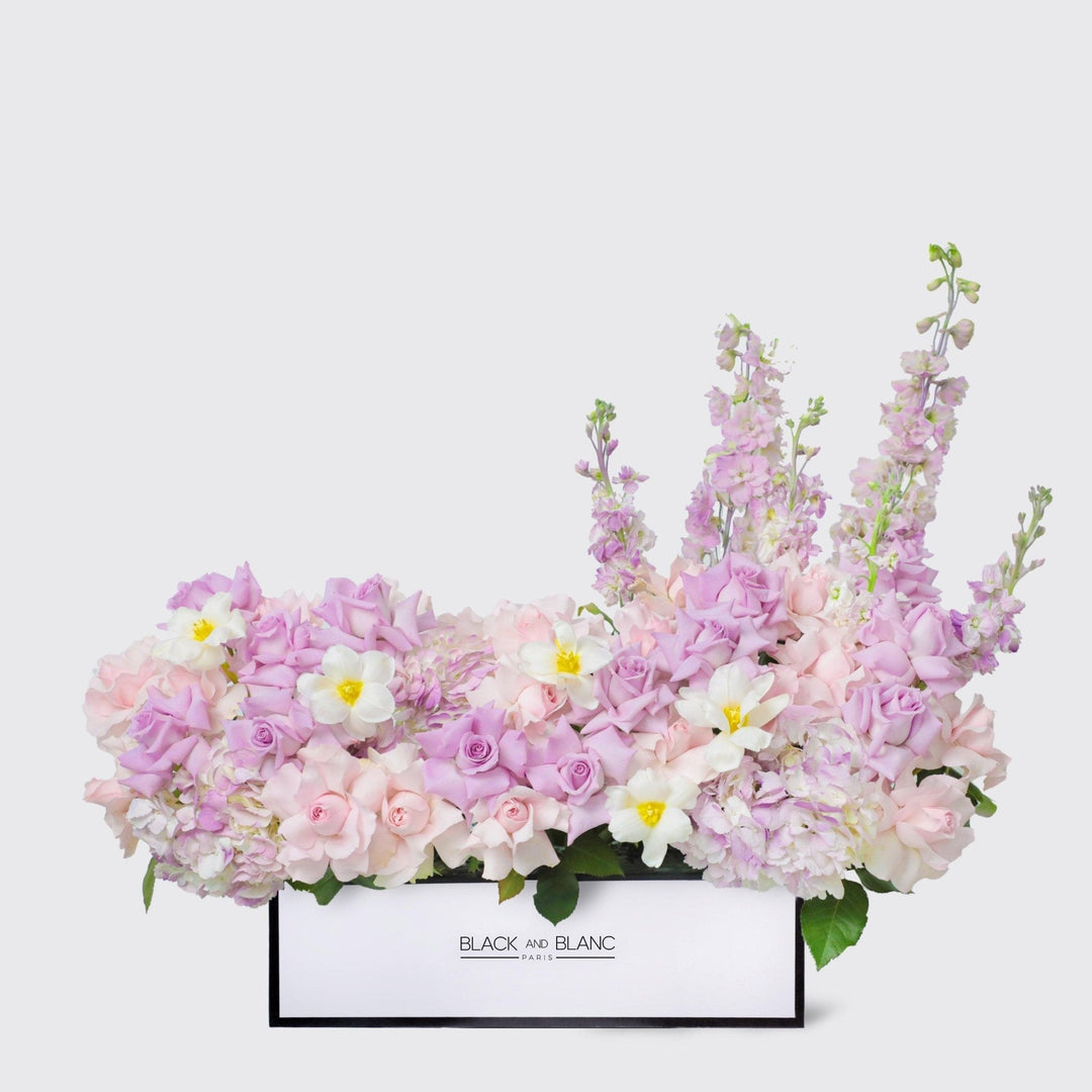 Purple Paradise in Half Meter Box - BLACK AND BLANC